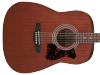 Gitara akustyczna IBANEZ V54NJP-OPN (Jam Pack)